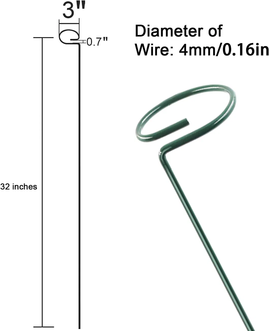 Plant Support Showcase