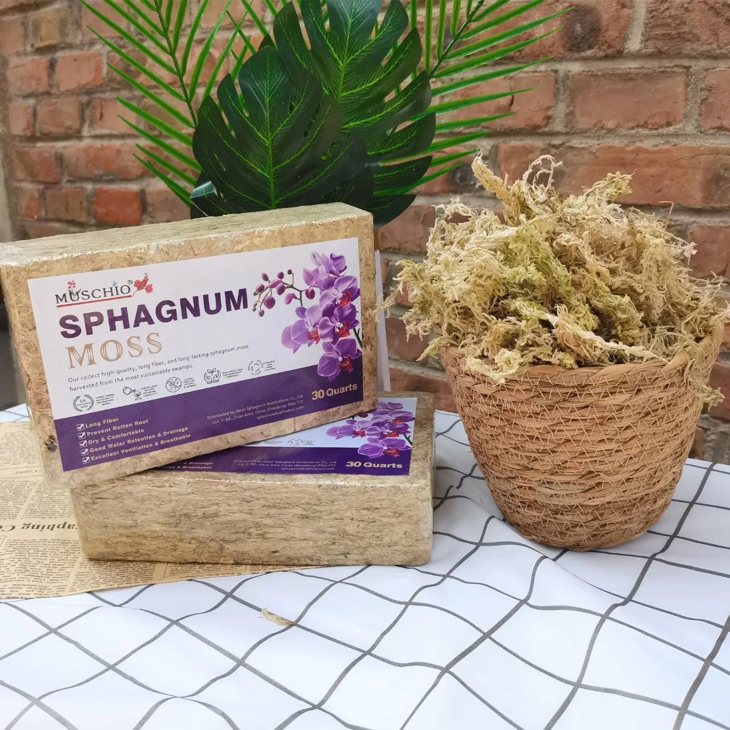 Sphagnum Moss Quality