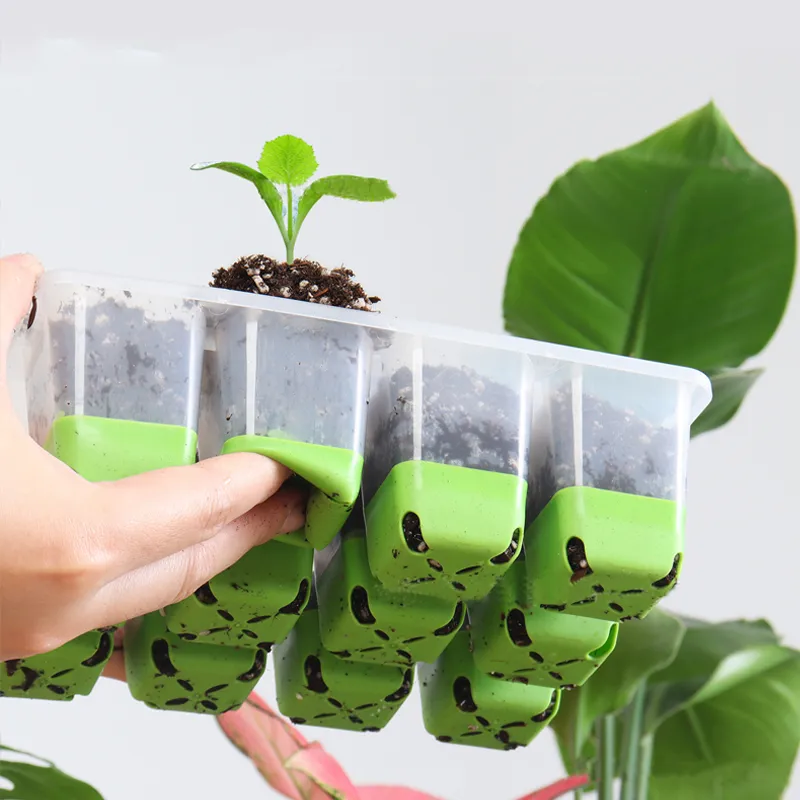 Seed Starting Tray View 7