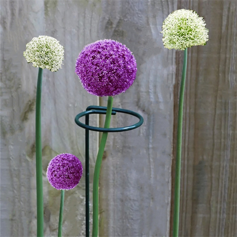 Metal Plant Surpport Flower Plant Stem Support Plastic Coated Support
