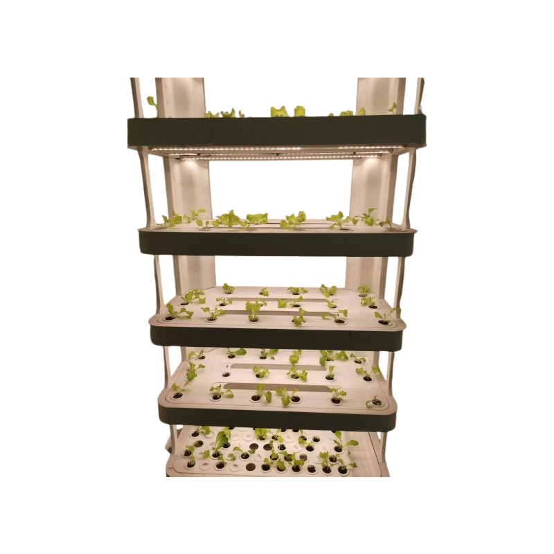 Ledbio Hydroponic Indoor Farm Kit - Perfect for Urban Gardening