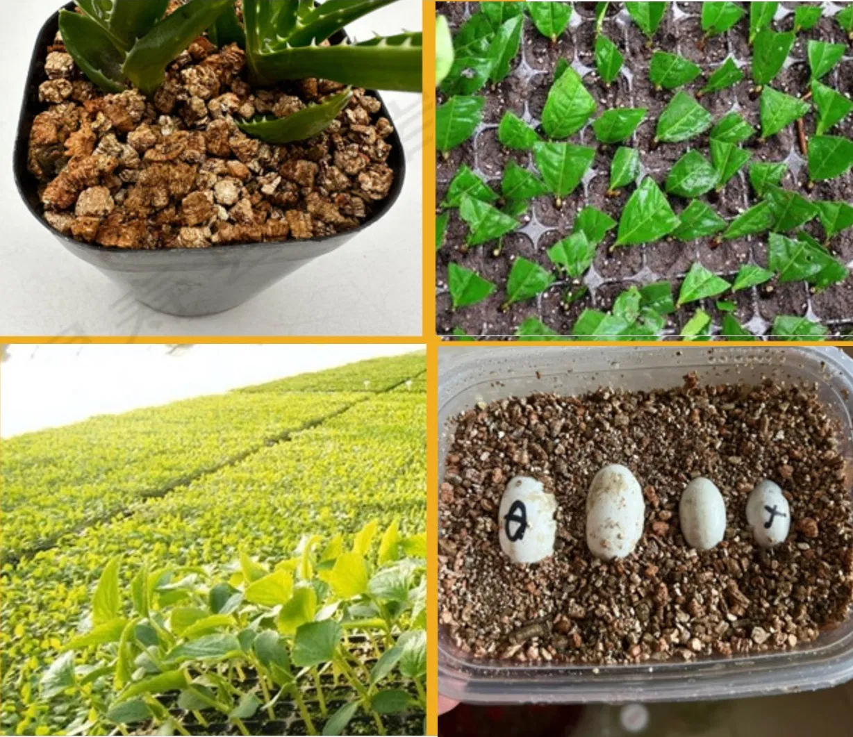 3-6mm Expanded Vermiculite – Ideal Soil Additive for Potting and Seed Starting