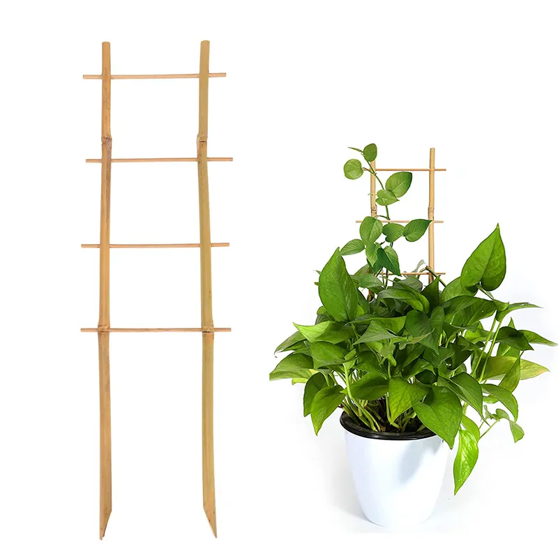 Fan Trellis Garden Treated Timber Plant Support 4FT X 1FT