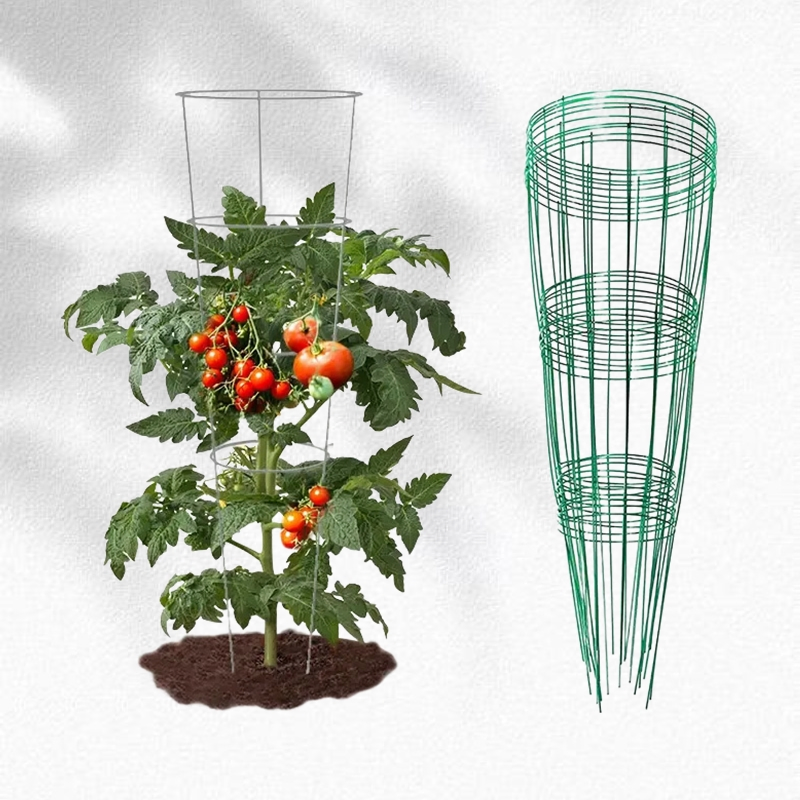 Sturdy Adjustable Metal Plant Support for Climbing Vines