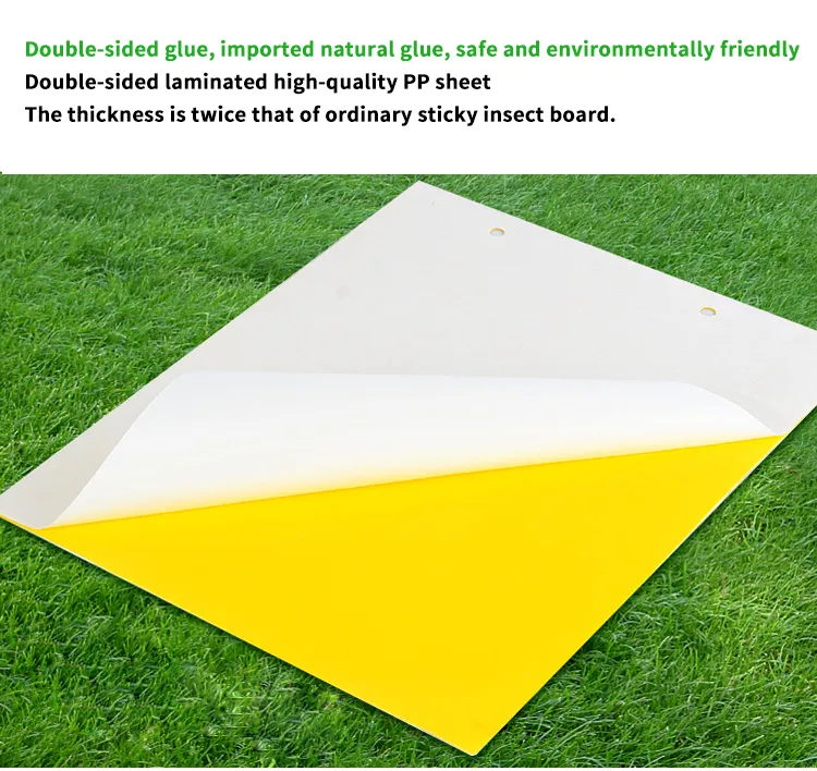 Pest Control Double Sides