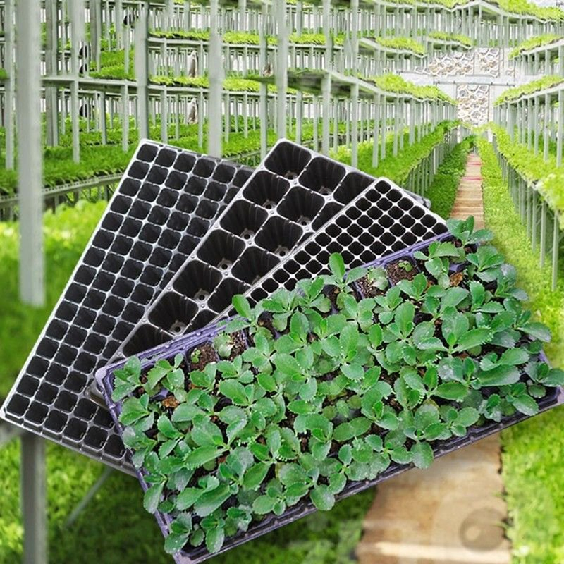 Plastic Seed Starting Grow Germination Seedling Tray for Vegetables Nursery