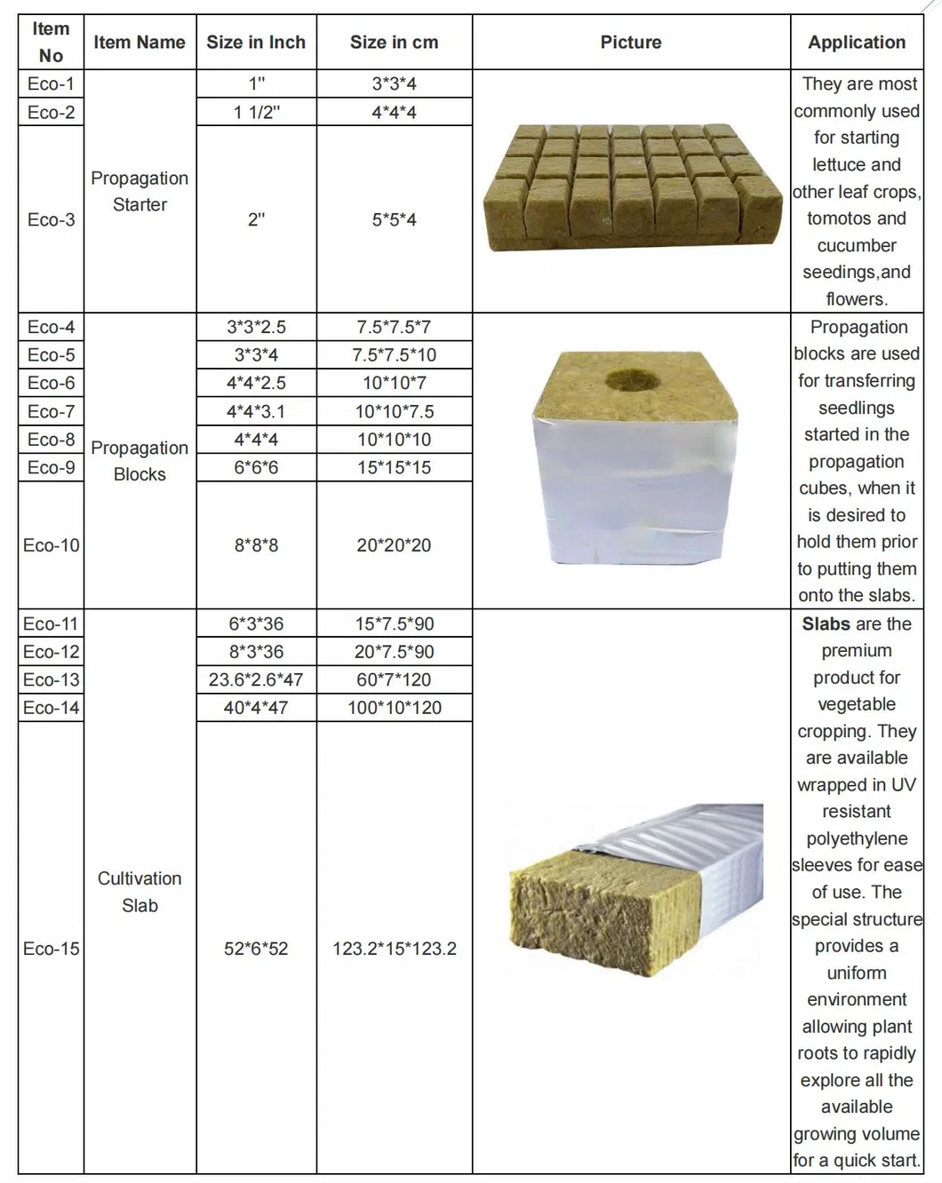 Standard Sizes Chart
