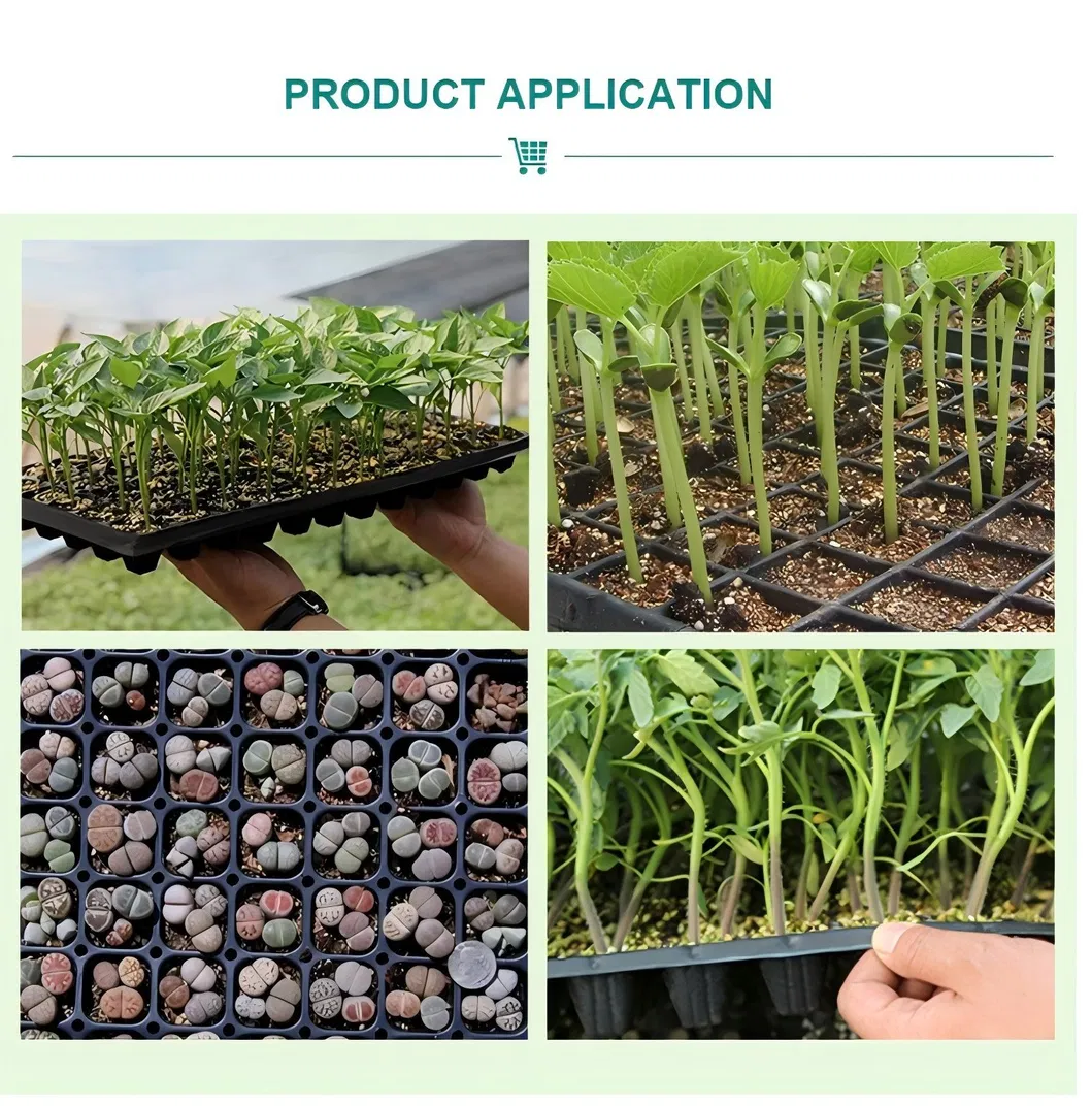 Seedling Tray View 3