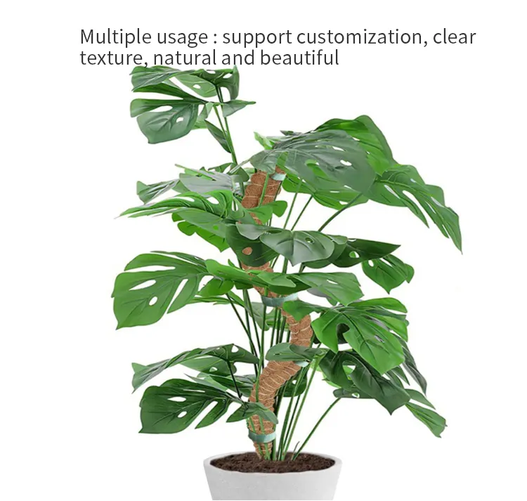 Plant Support Detail 4