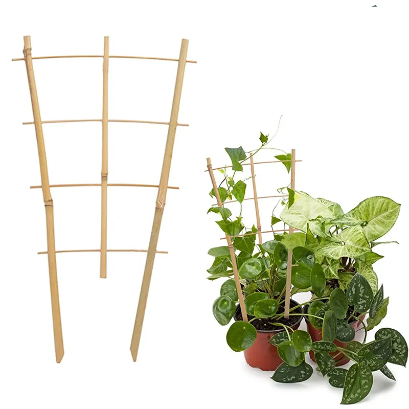 Fan Trellis Garden Treated Timber Plant Support 4FT X 1FT