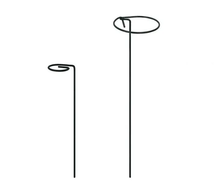 Grow Through Support