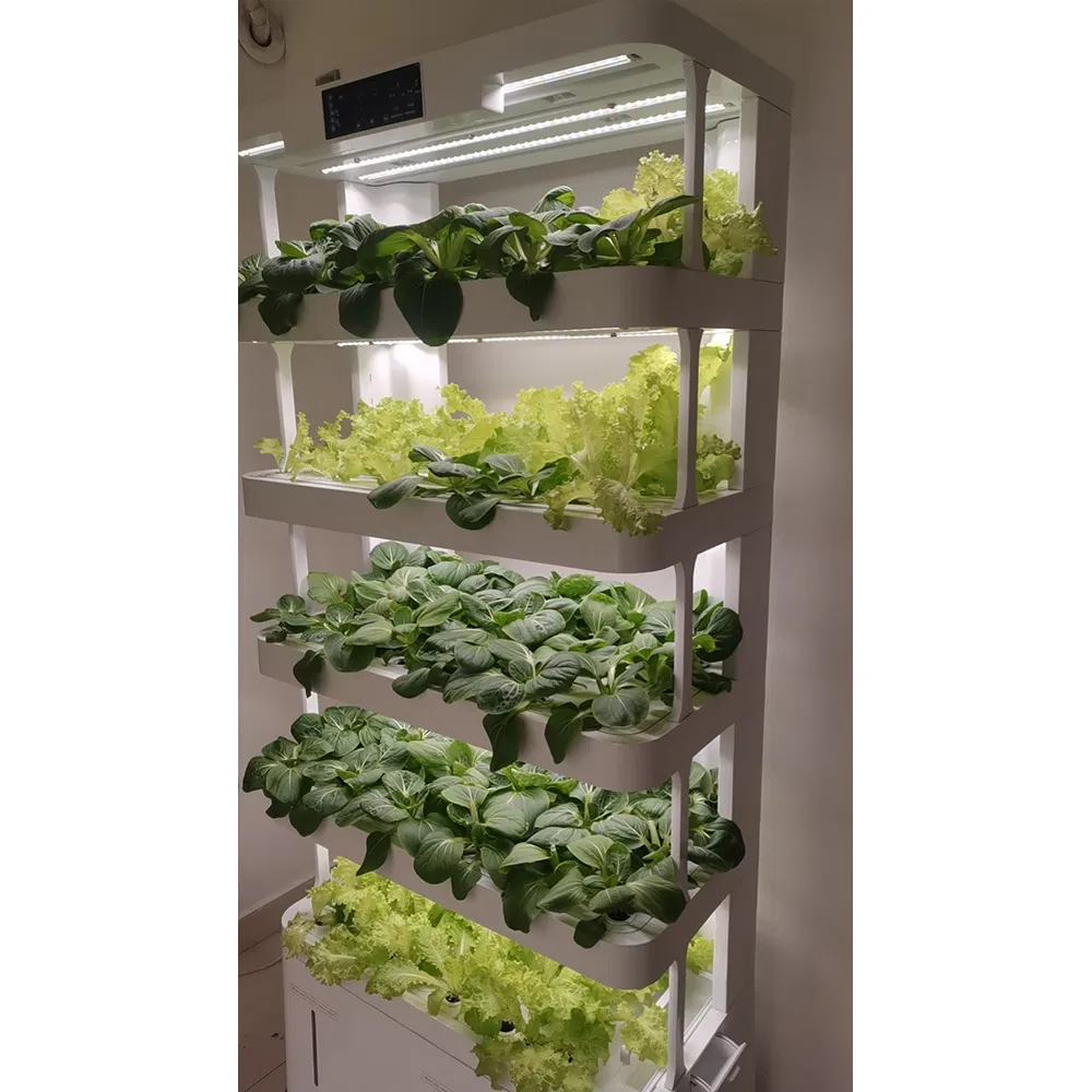 Hydroponic Growth Setup
