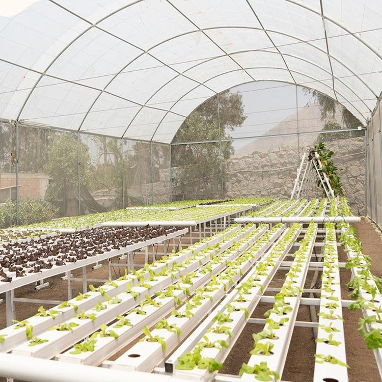 Indoor Greenhouse Farming Vertical Hydroponic Gardening Nft Hydroponic Kits 10X5cm