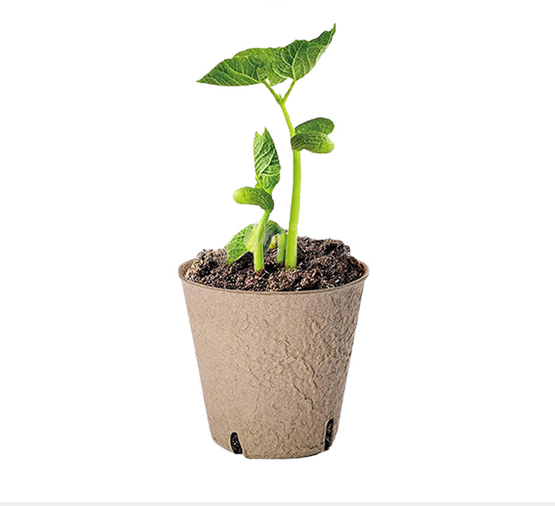 Biodegradable Plants Pots 120 PCS 3.15 Inch Seed Starting Pots with Drainage Holes Round