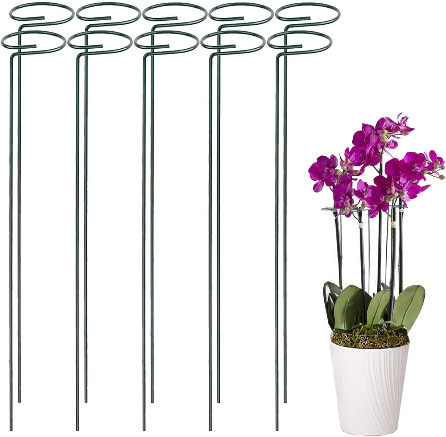 Hopesun 5.8 Inches Single Stem Plant Support Stakes Steel Garden Stakes