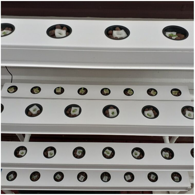 PVC Hydroponic Growing Gutter Nft Lettuce Hydroponic Gardening Kit