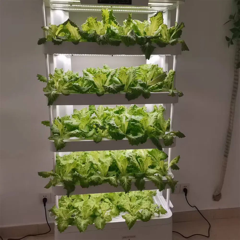Indoor Farm System Detail