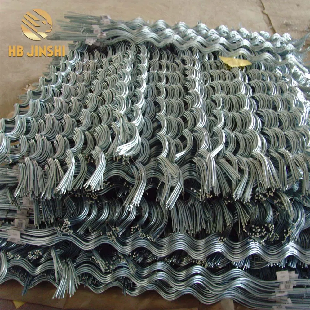 Hot DIP Galvanized Painted Iron Tomato Spiral Plant Support