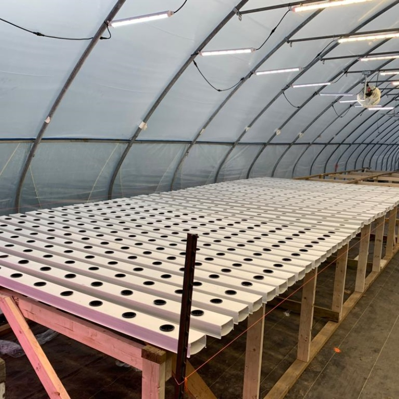 Soilless Cultivation Solutions Water-Based Plant Cultivation Hydroponic Gardening Kits