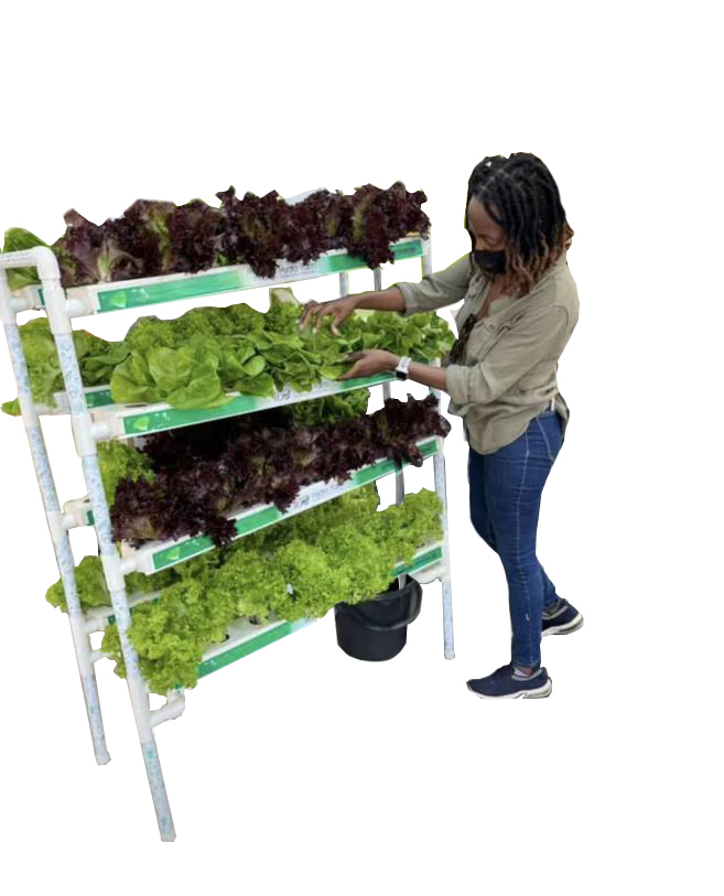Balcony Growing Vertical Garden System Vegetable Planting System Gardening Hydroponics Kit