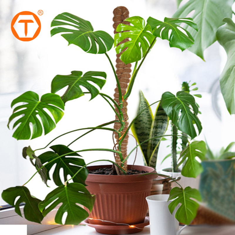 2 Pack Coco Coir Handmade Flexible Monstera Plant Support Bendable Moss Poles with Jute Rope