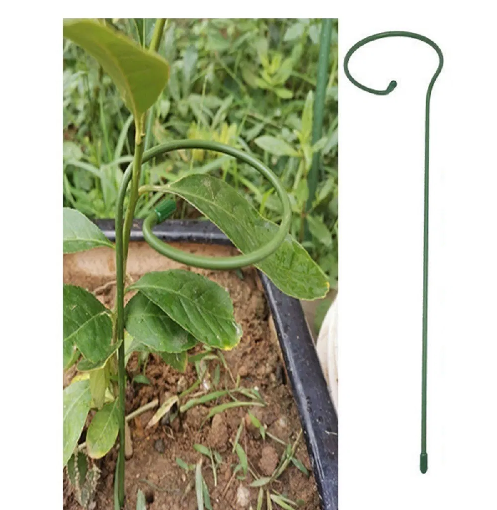 Metal Rod Ring Detail