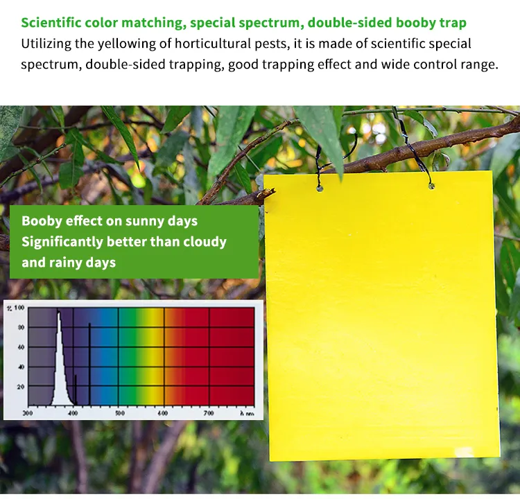 Insect Control Board