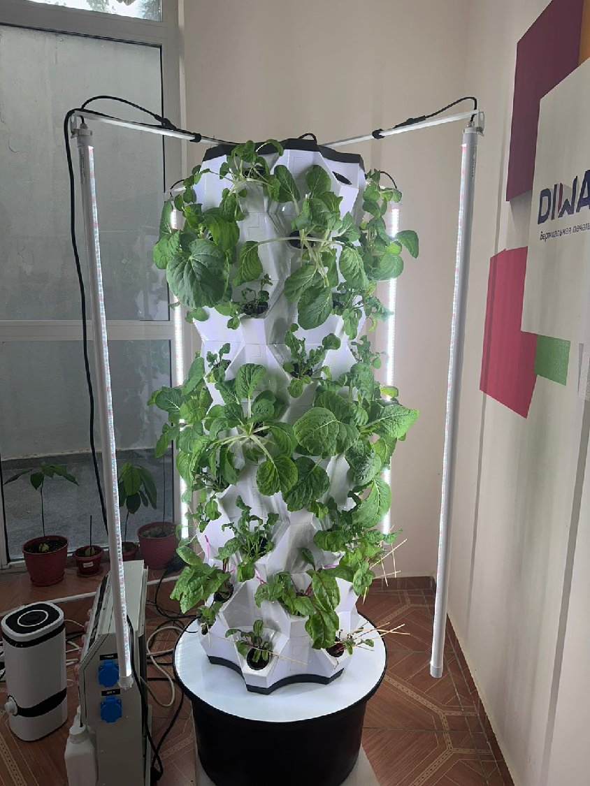 Indoor Hydroponic Garden Kit with LED Grow Light and Efficient Water Circulation