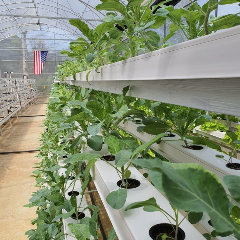 Water Culture Vertical Hydroponic Gardening Nft Hydroponic Kit