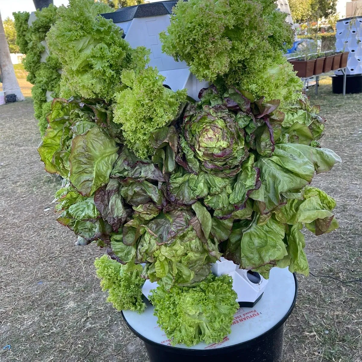 Complete Hydroponics Kit with LED Grow Light and Easy-to-Use Design