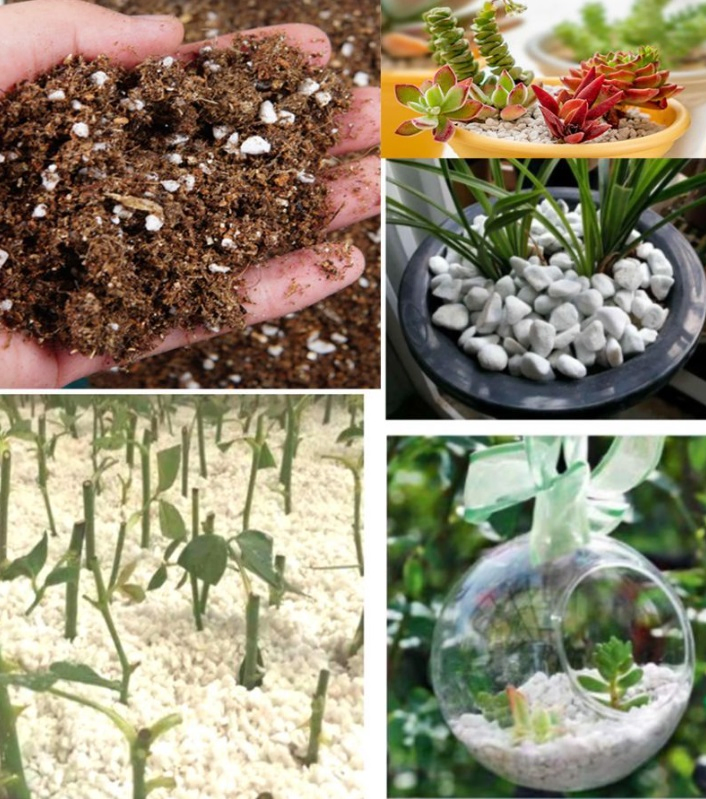 3-6mm Expanded Vermiculite – Ideal Soil Additive for Potting and Seed Starting