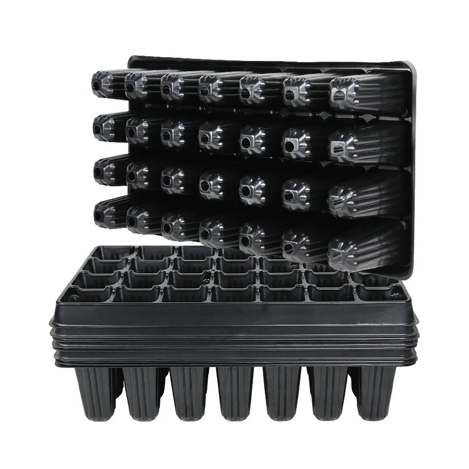 Seedling Tray Photo 7