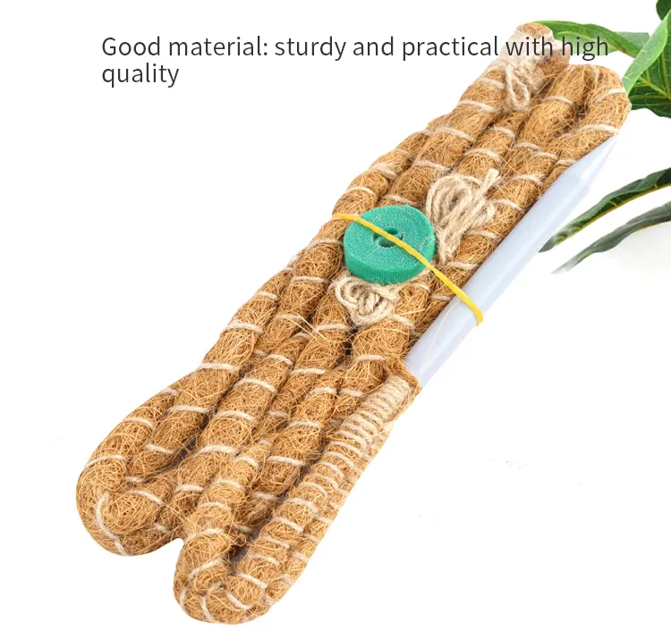 Plant Support Detail 3