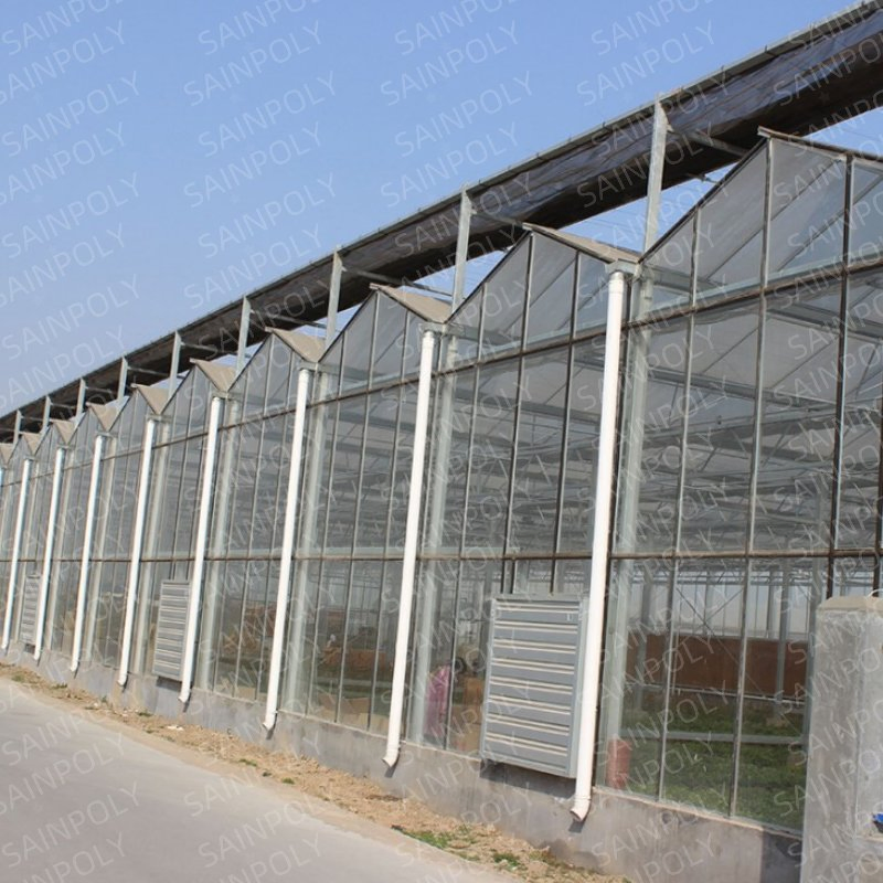 Greenhouse with Irrigation Systemmanufacturer Covered with Polycarbonate Sheet