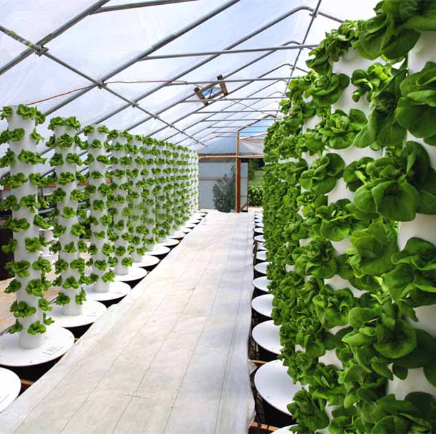 DIY Garden Vertical Grow Kit Hydroponics Aeroponic Vegetable Growing Tower