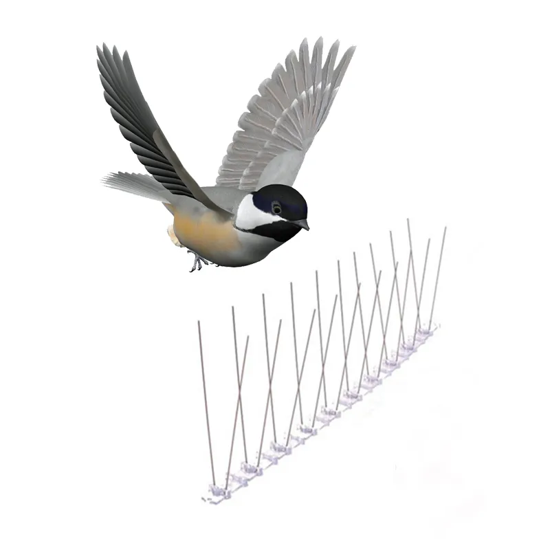 Bird Spike Installation Example