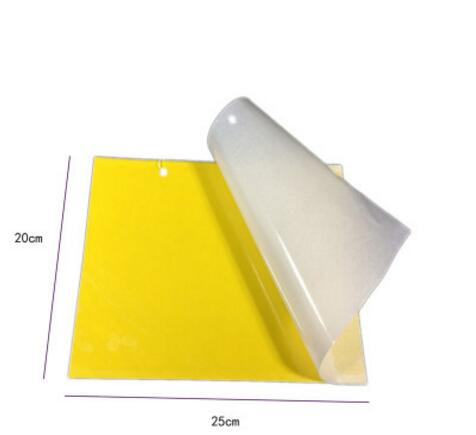 Sticky Paper Trap to Control Agriculture Pests