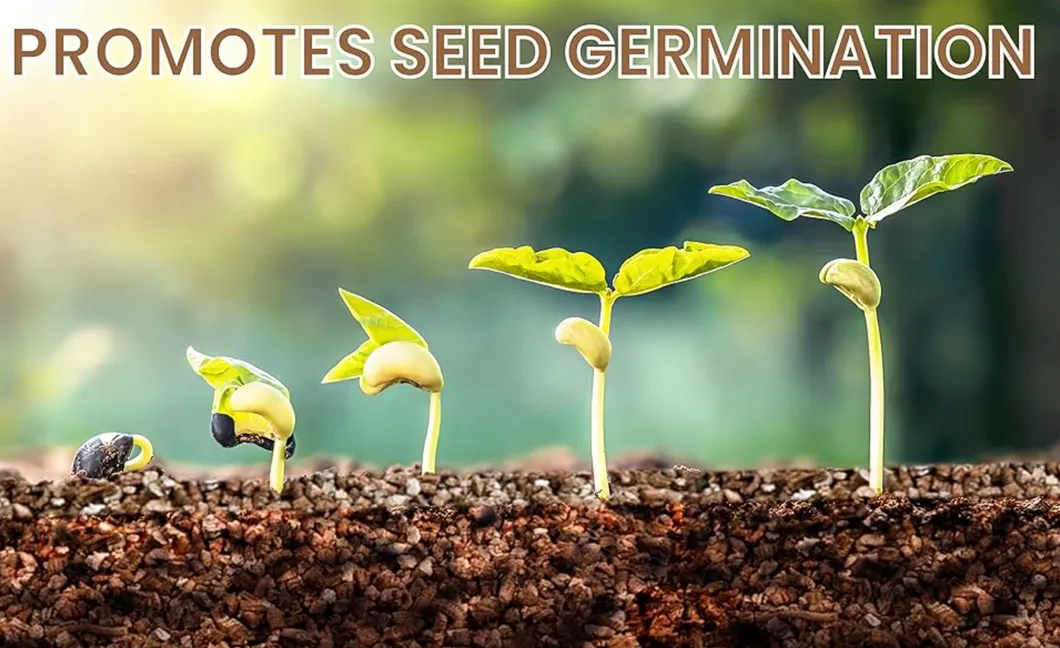 Vermiculite Close Up