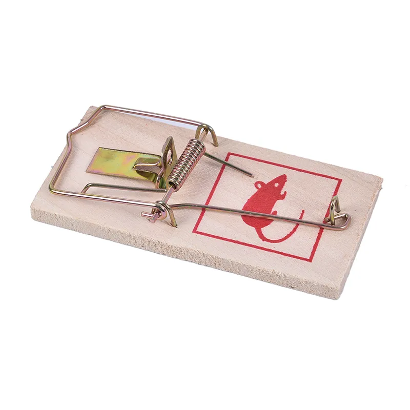 Main Mouse Trap Image