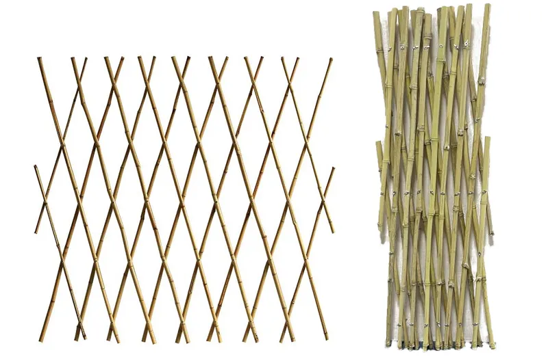 Plant Support Trellis Detail