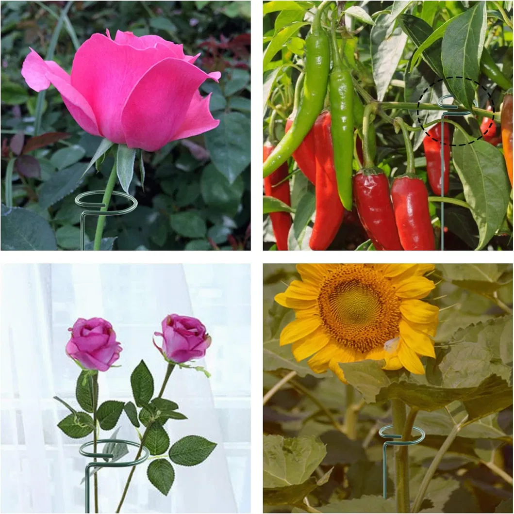 Support Stake Packing