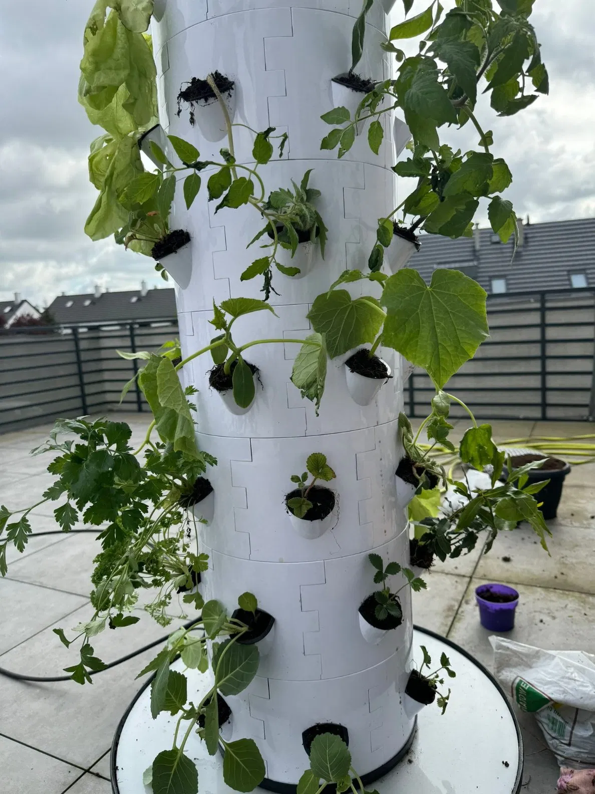 Hydroponic Grow Kit with Film Greenhouse Compatibility and Water Saving Design