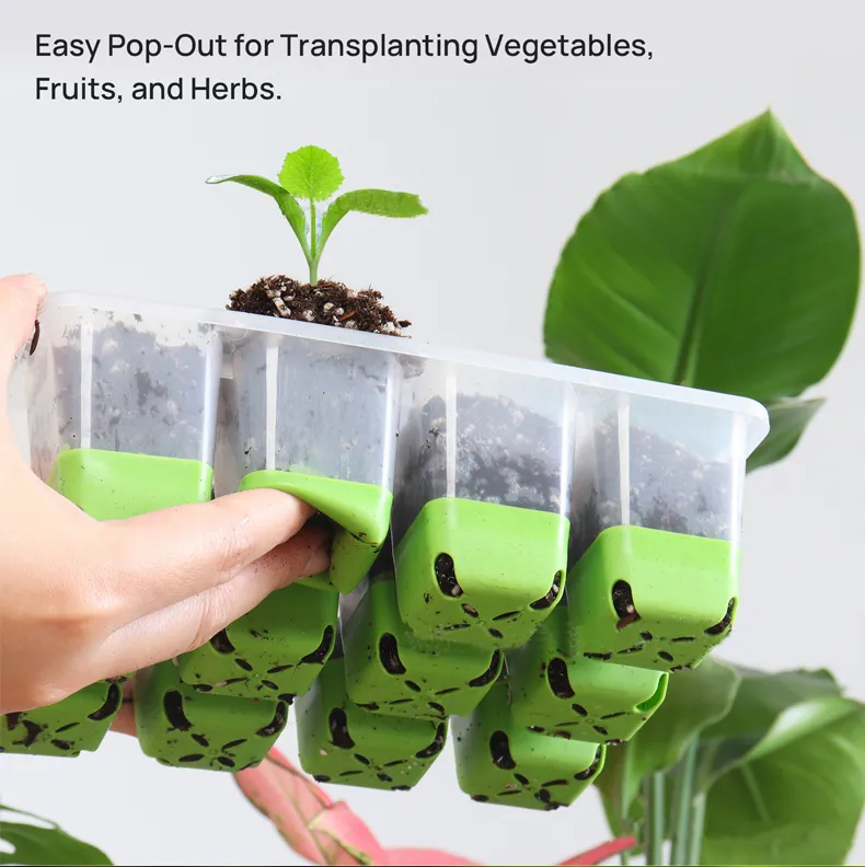 Seed Starting Tray View 3