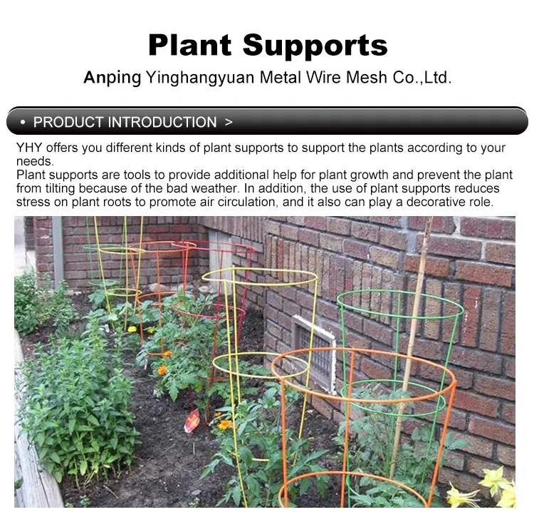 Plant Support, Flower and Vine Support