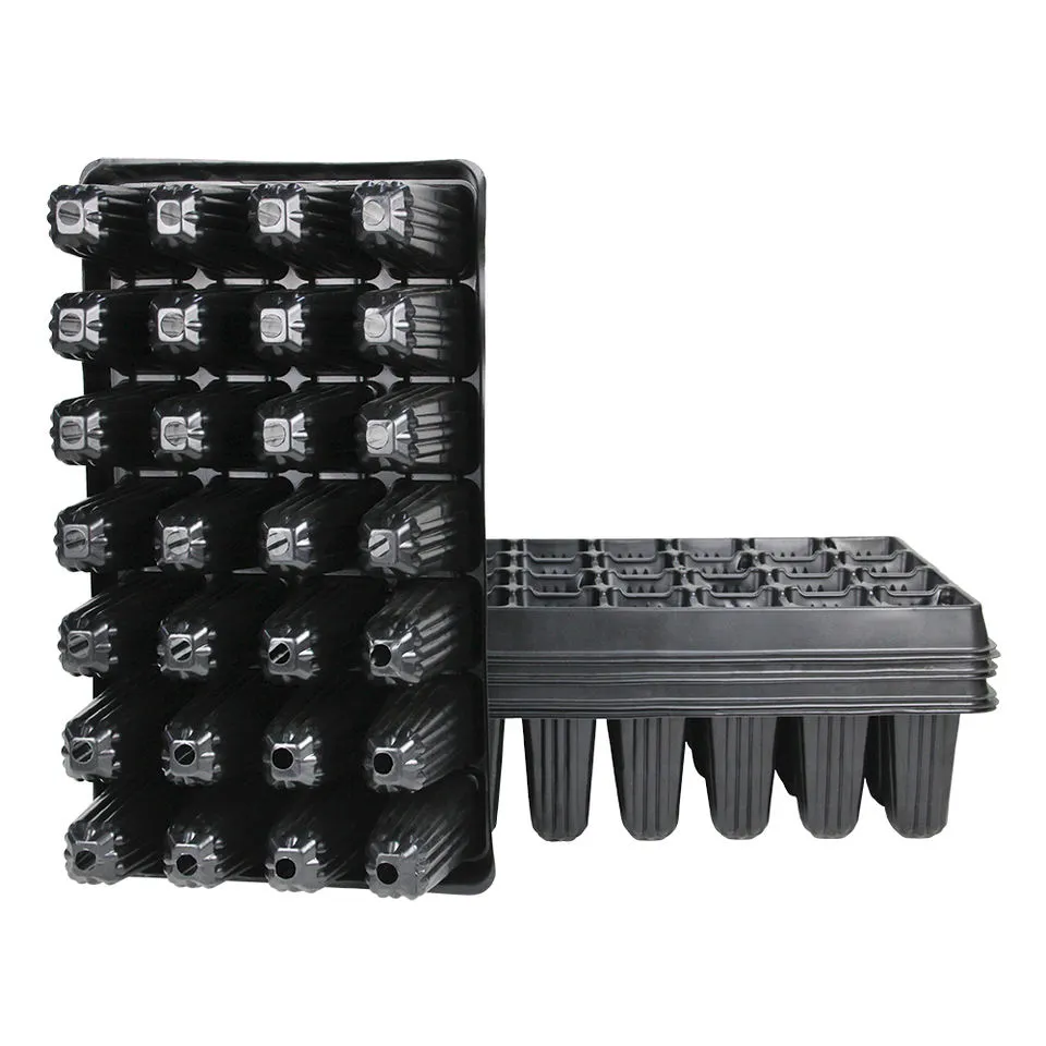 Seedling Tray Photo 8
