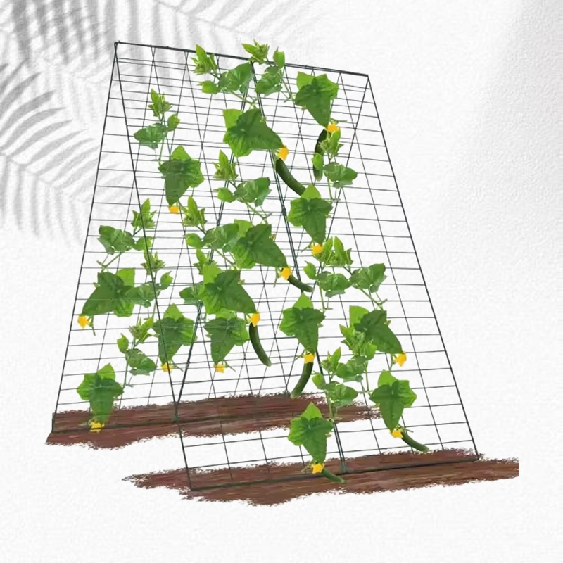 Decorative Metal Flower Pot Stand Inspired Plant Support for Indoor and Outdoor Use with Climbing Plant Application