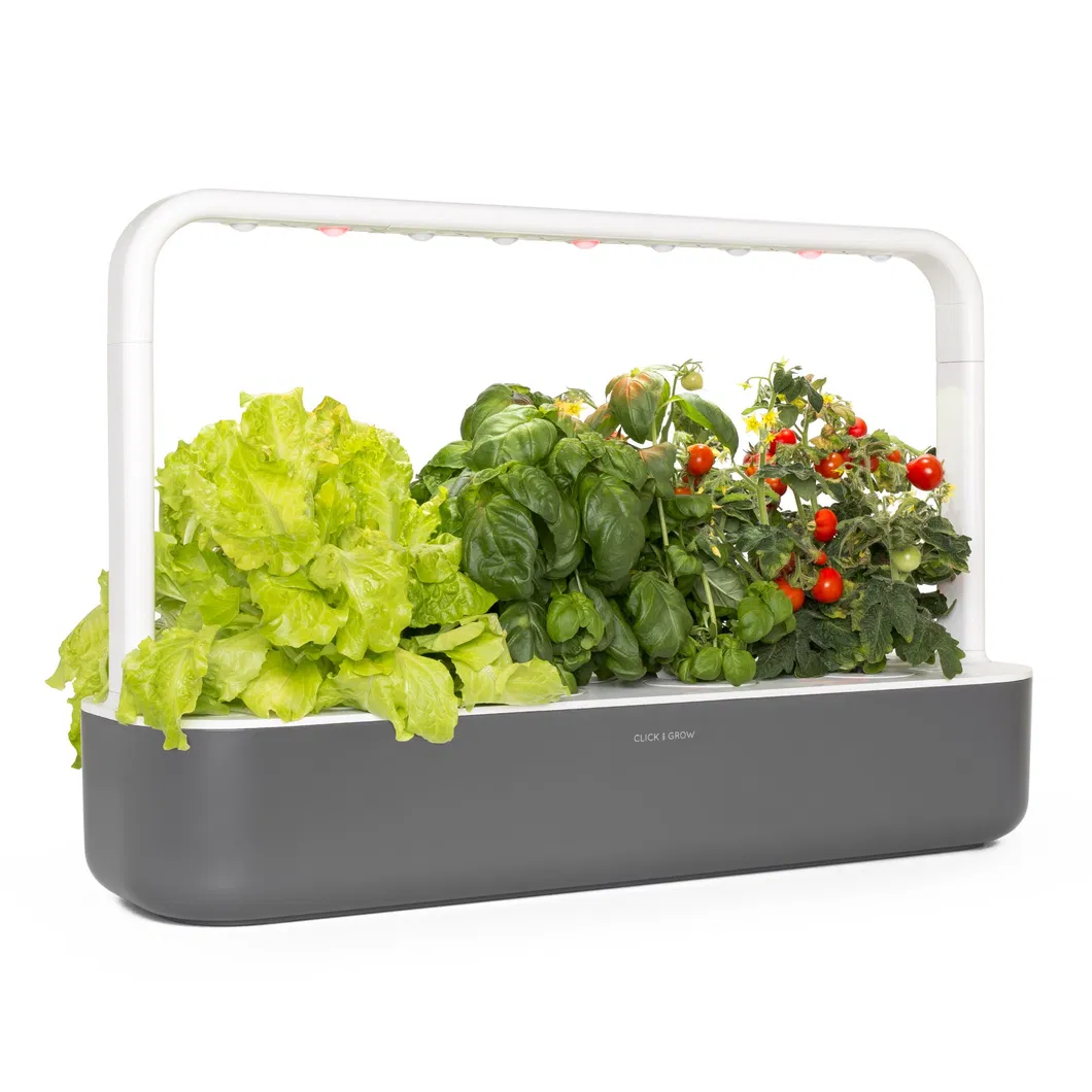Indoor Herb Garden Kit
