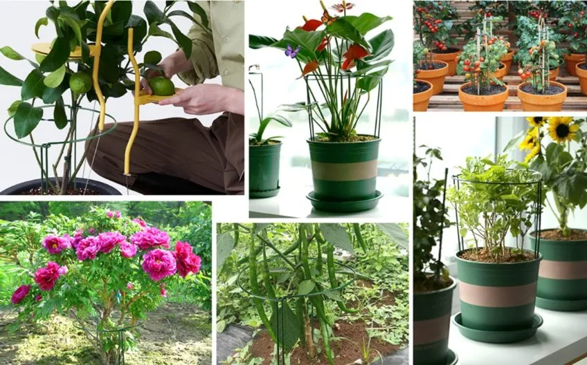 Functional Garden Stakes Application