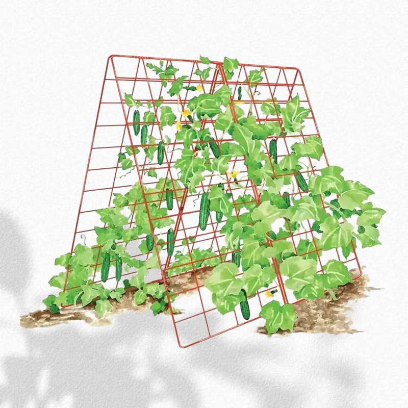 Easy to Install Garden Trellis Support for Climbing Plants Such as Long Bean Cucumber and Tomato Flowers