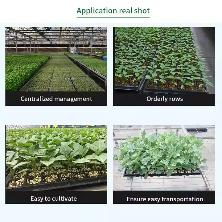 Biodegradable Seed Germinating Tray